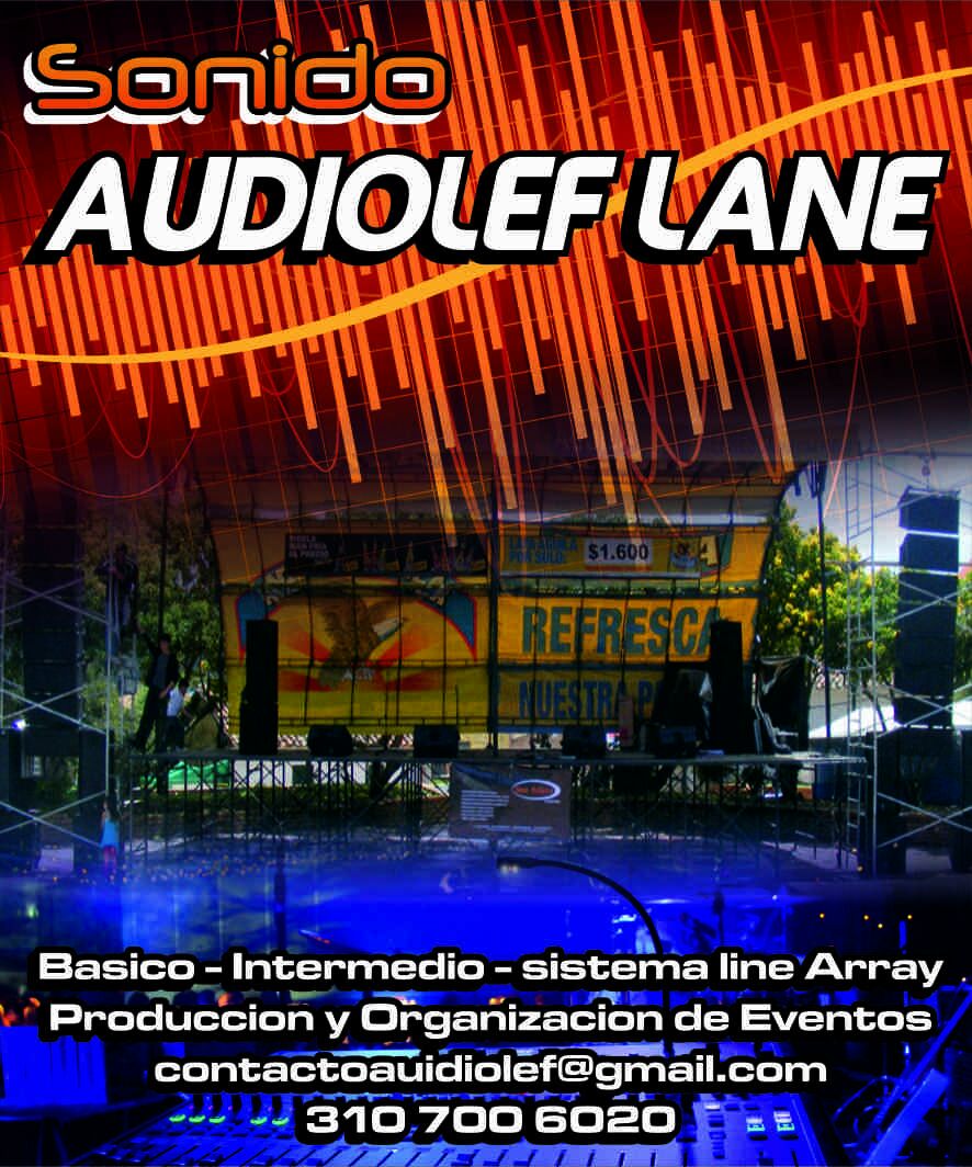 Sonido profesional